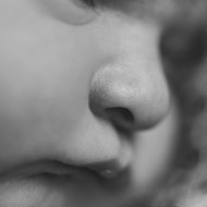 Photo of a newborn babies nose