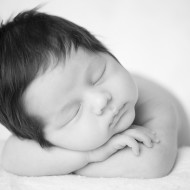 Sleeping newborn portrait