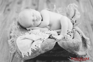 Ava's newborn photo