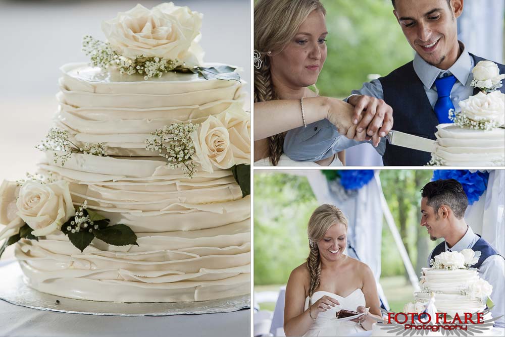 Wedding cake and cake cutting