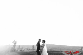 Wedding photos in the field at David Springer Estate