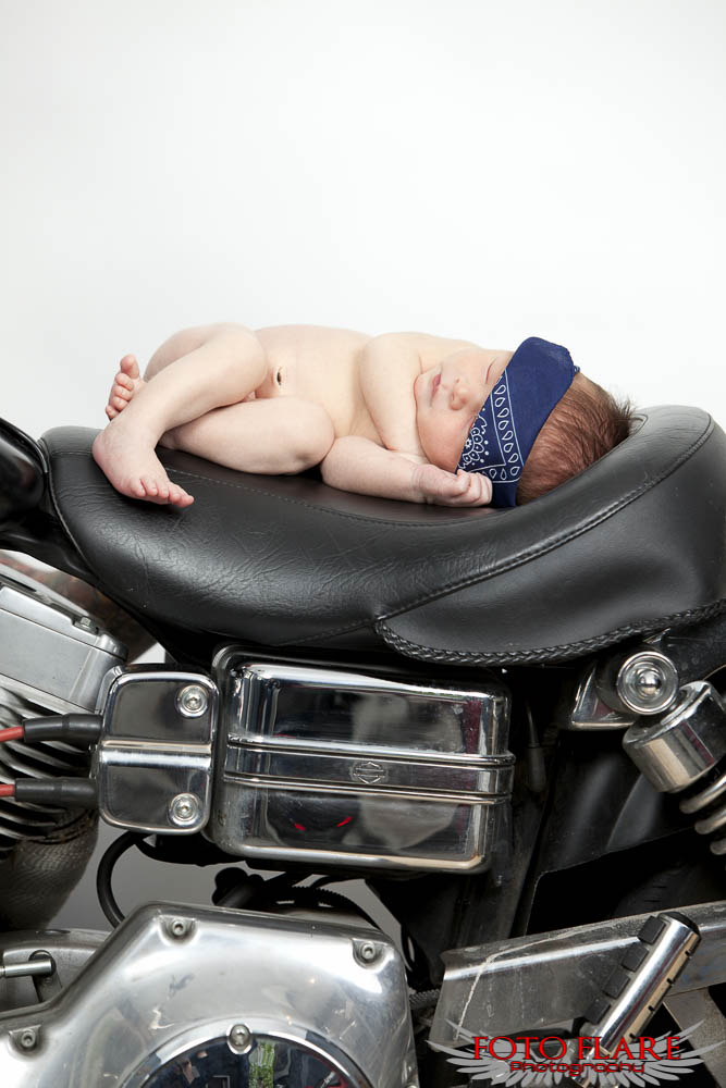 Newborn laying on Harley