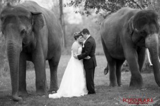 African Lion Safari Wedding photographs