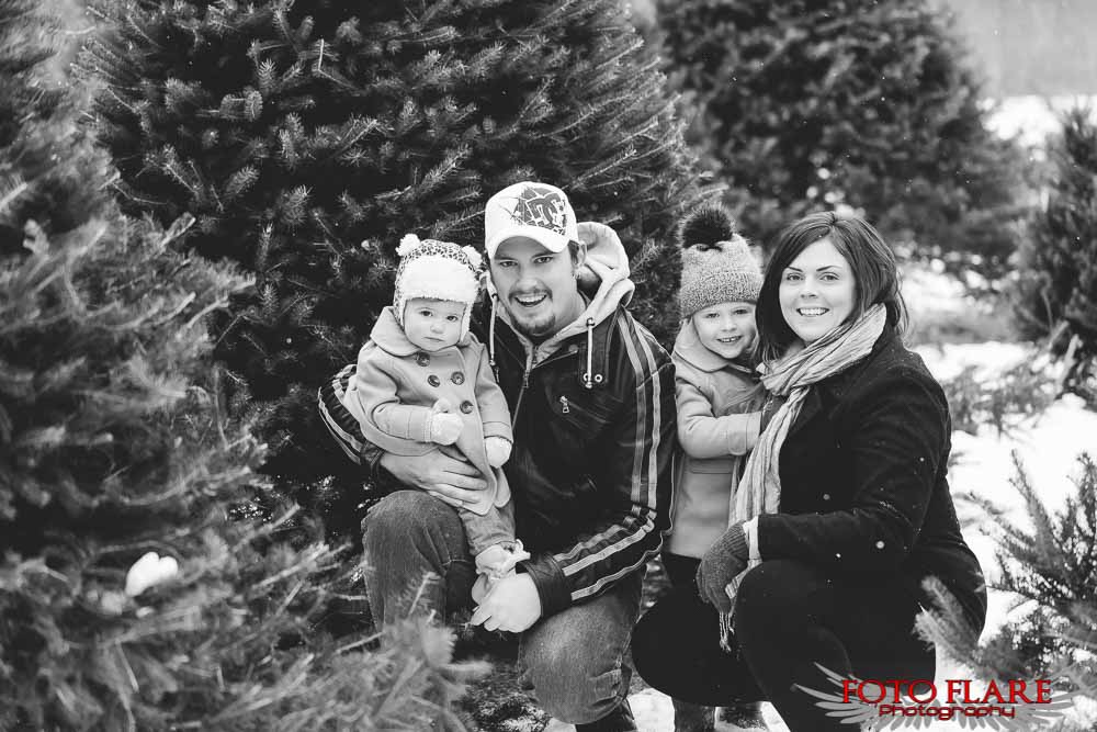 Family photos at a tree farm