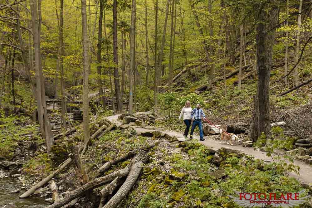 Engagement photos on the bruce trail