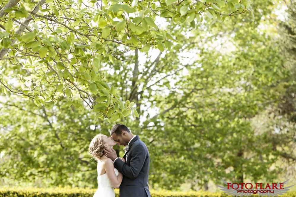 Kissing under a huge tree