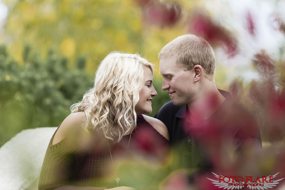 Fall engagement pictures in Hamilton